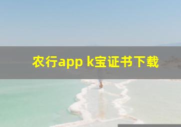 农行app k宝证书下载